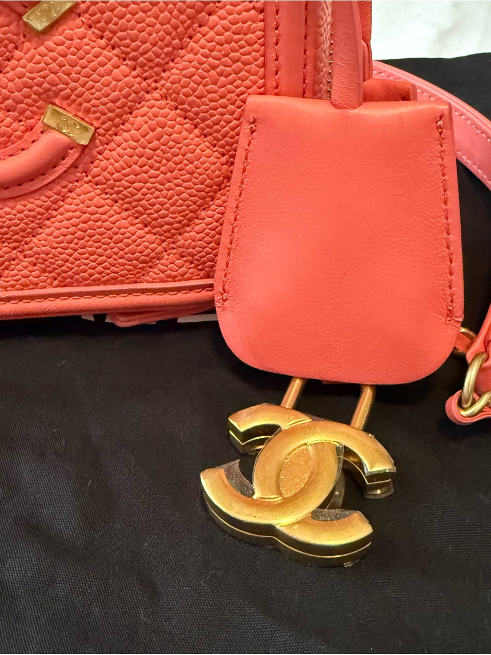 Chanel Quilted Filigree Vanity Case - Picture 3 of 11